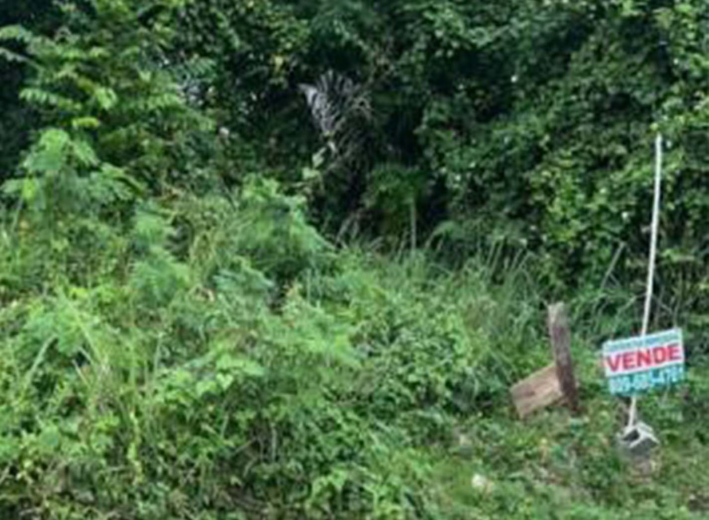 Solar en el sector Villa Mella - Imagen 2