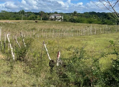Solar en Haras Nacionales, Santo Domingo Norte